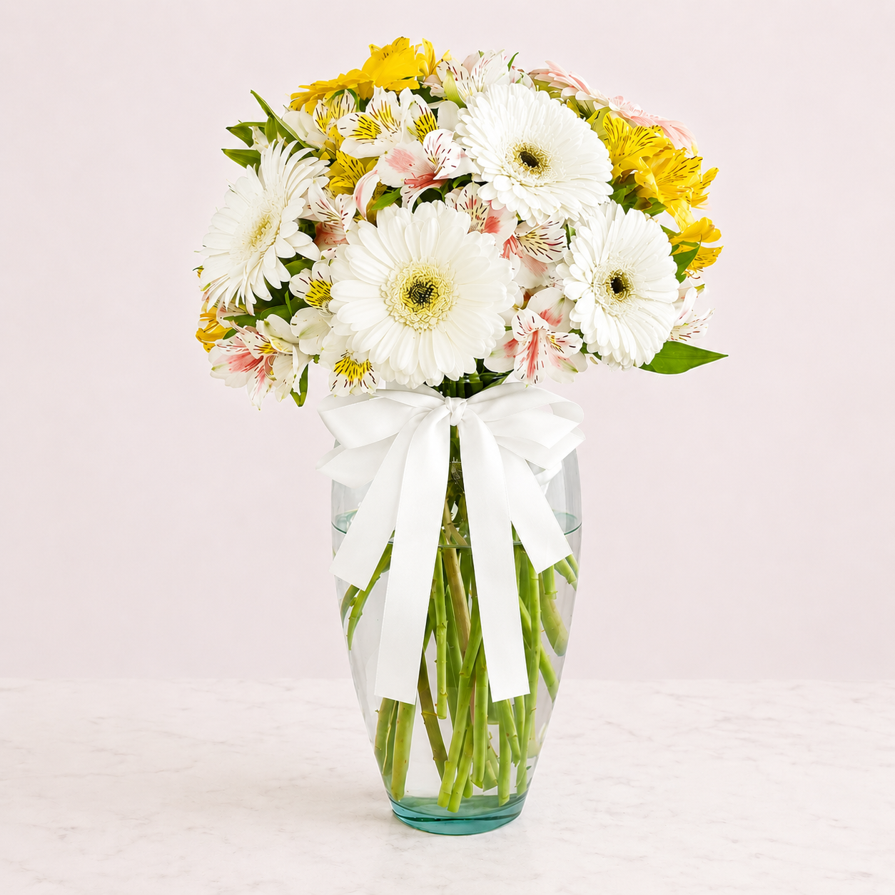 Gerberas Blancas