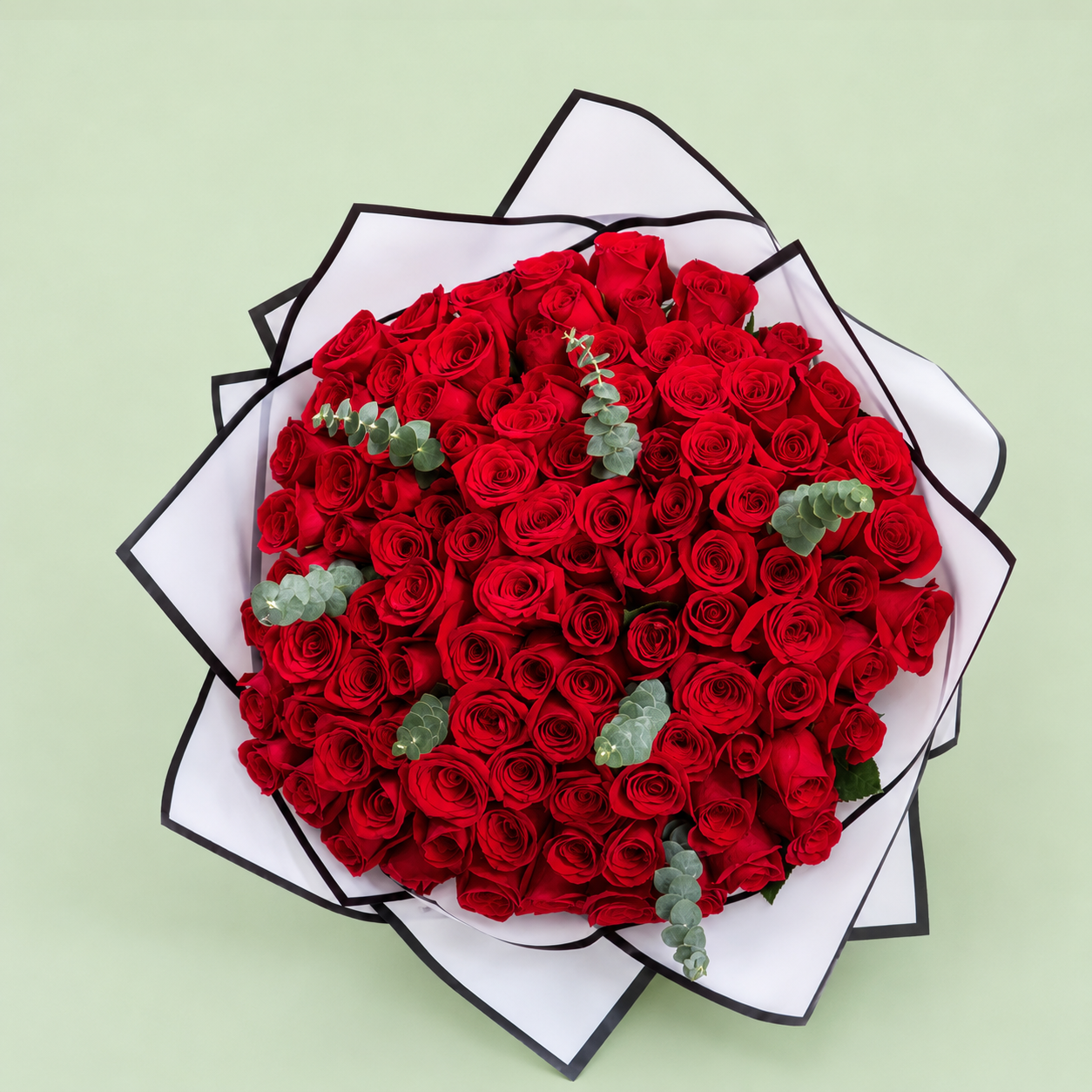 100 Rosas Rojas